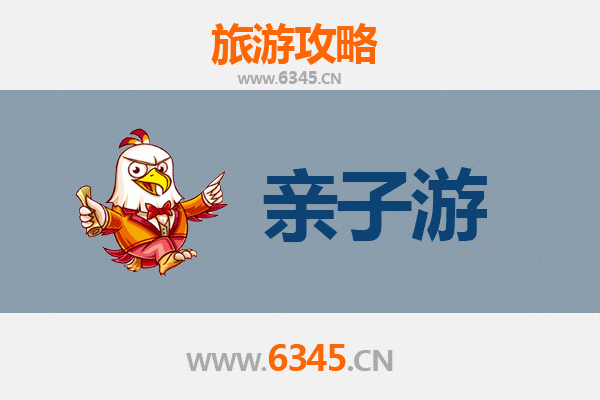 东沙亲子游全攻略：海洋生态探索与家庭乐趣完美结合